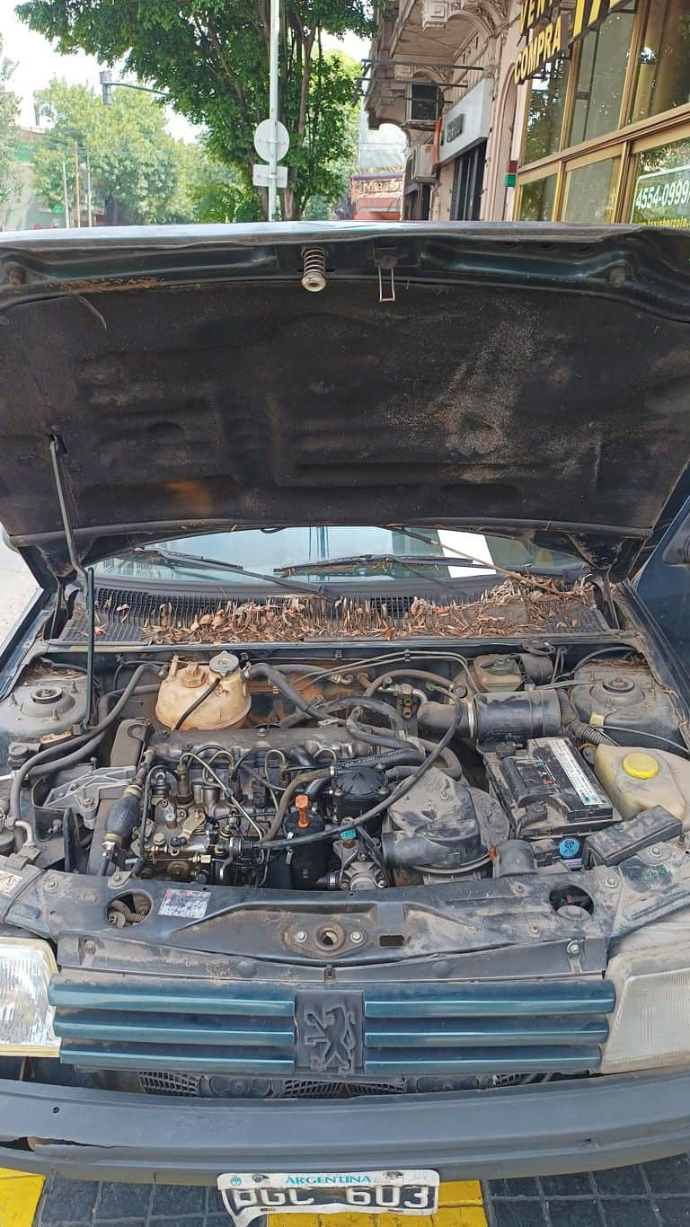 Motor de un vehículo abierto durante un diagnóstico mecánico